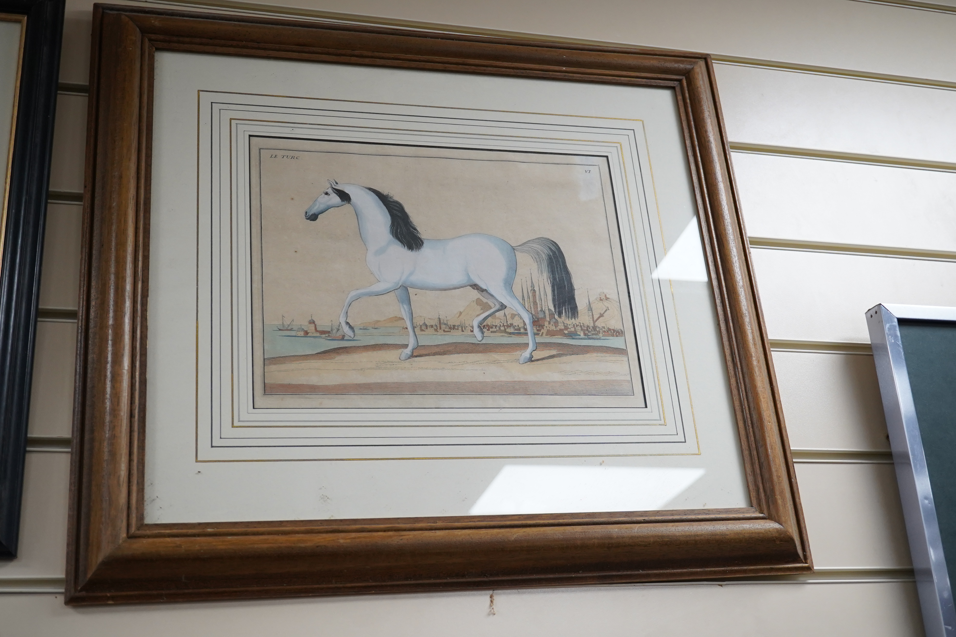 Four 18th/19th century coloured etchings, horses to include ‘Le Napolitain’ and ‘Le Turc’, 23 x 30cm. Condition - fair